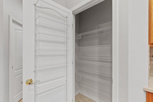 view of closet