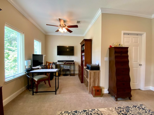 carpeted office space featuring ornamental molding and ceiling fan