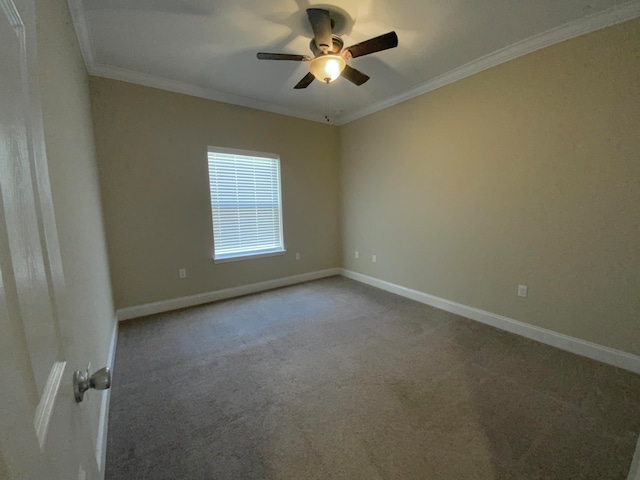 carpeted spare room with ceiling fan and ornamental molding