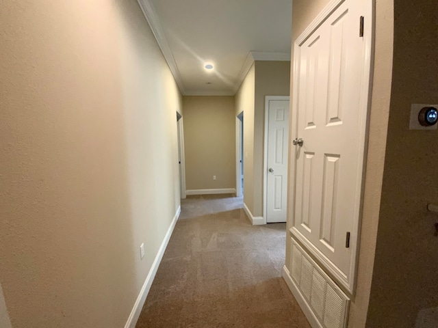 hallway featuring crown molding and carpet floors