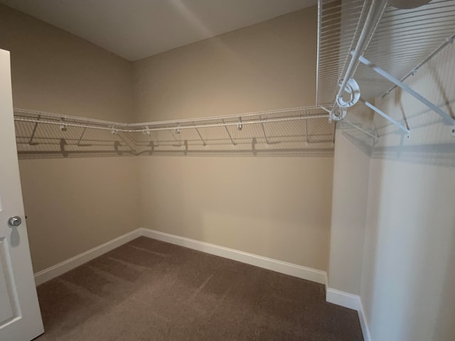 spacious closet with carpet floors