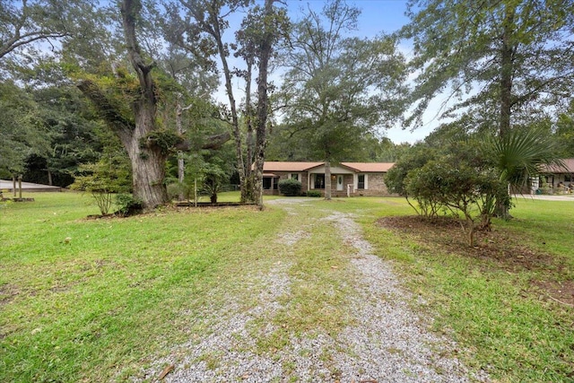 ranch-style home featuring a front lawn