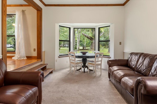 living room with ornamental molding and light colored carpet