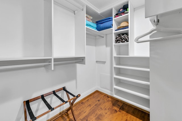 spacious closet with hardwood / wood-style floors