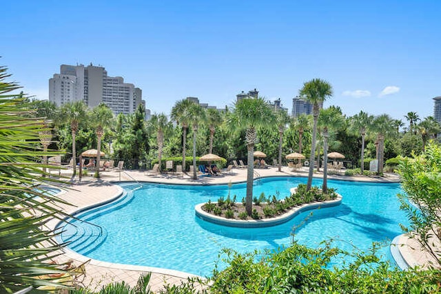 view of swimming pool featuring a patio area