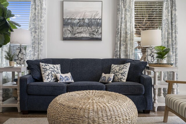 living room with hardwood / wood-style flooring