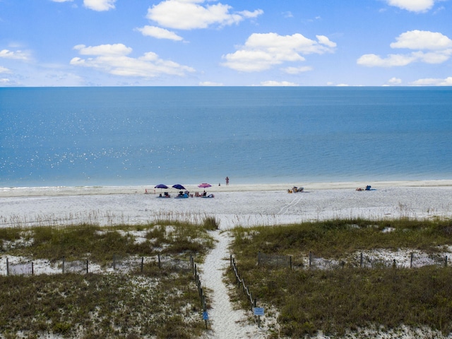 water view with a view of the beach