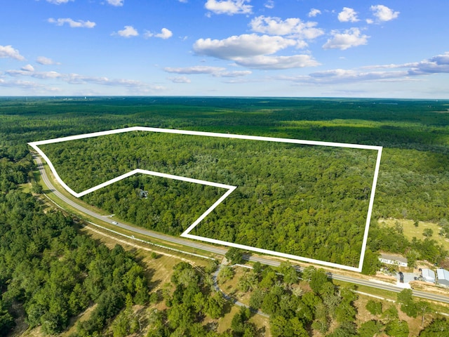 Listing photo 2 for TBD N County Highway 183, Defuniak Springs FL 32433