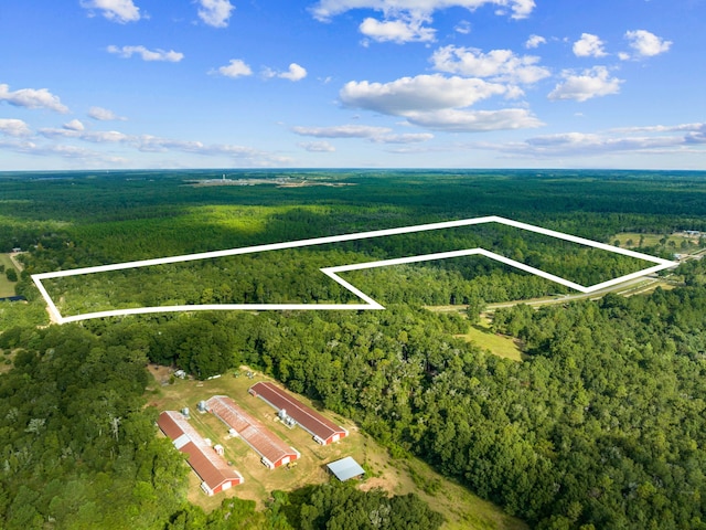 Listing photo 3 for TBD N County Highway 183, Defuniak Springs FL 32433