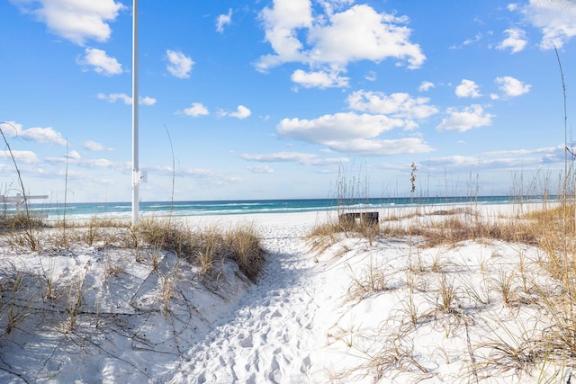 water view featuring a beach view