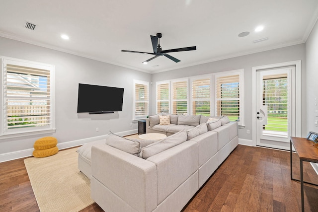 living room featuring wood-type flooring, plenty of natural light, crown molding, and ceiling fan