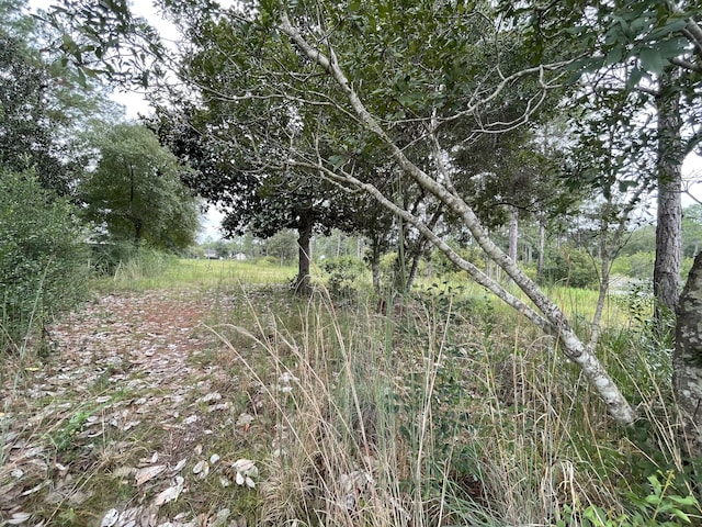 LOT40 Caswell Rd, Defuniak Springs, FL 32433