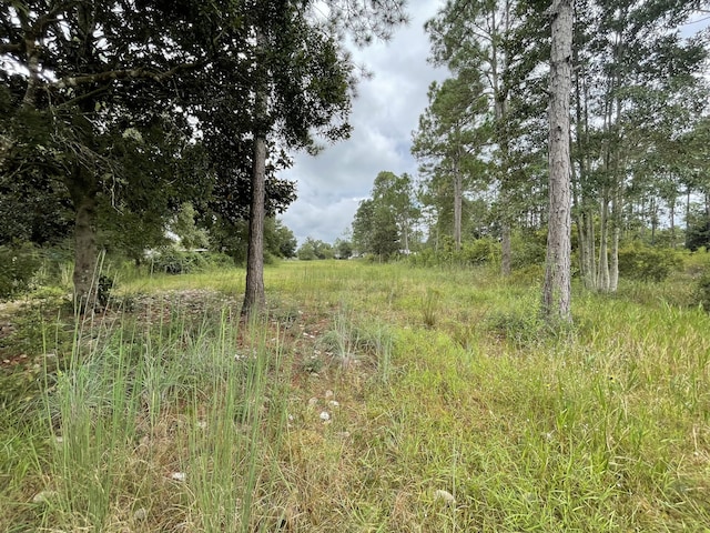 LOT40 Caswell Rd, Defuniak Springs, FL 32433