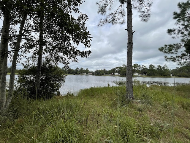 LOT40 Caswell Rd, Defuniak Springs, FL 32433