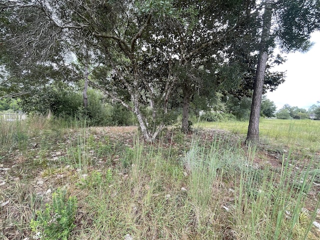 LOT40 Caswell Rd, Defuniak Springs, FL 32433