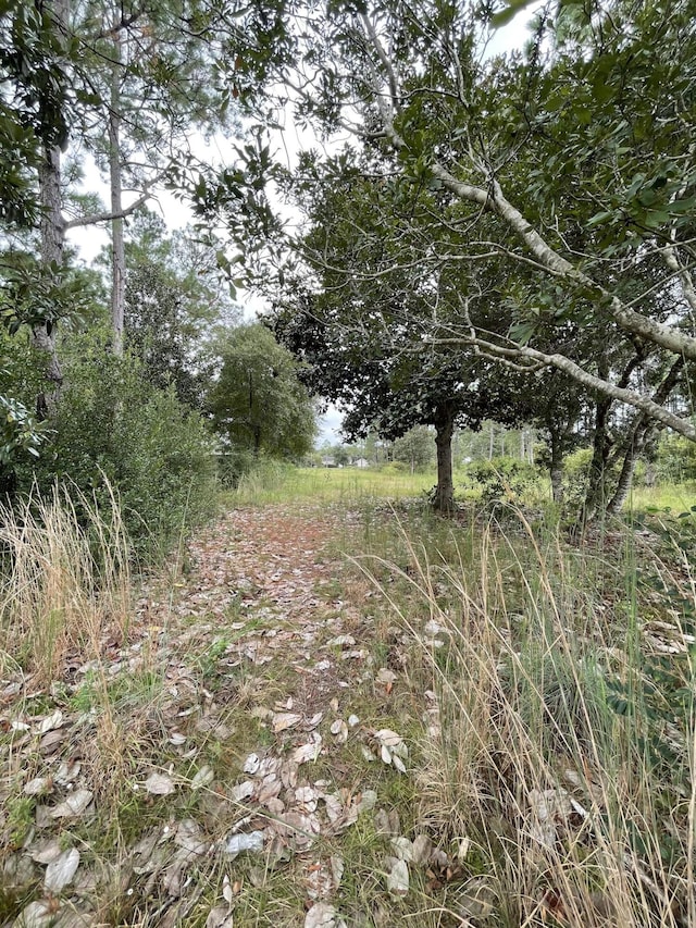 LOT40 Caswell Rd, Defuniak Springs, FL 32433