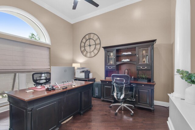 office space featuring ceiling fan, dark wood-type flooring, and ornamental molding