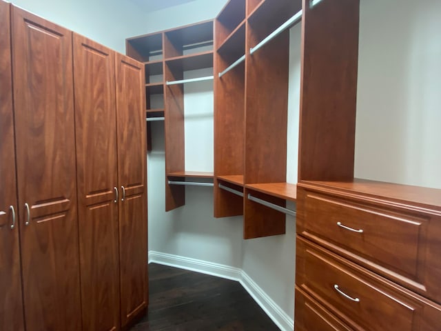 spacious closet with dark hardwood / wood-style flooring