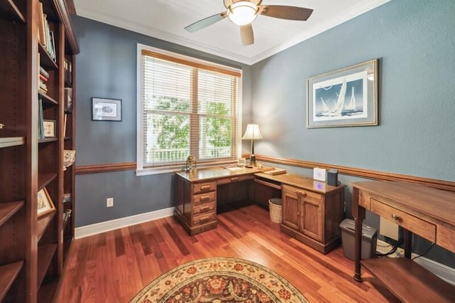 office with ceiling fan, ornamental molding, and hardwood / wood-style floors