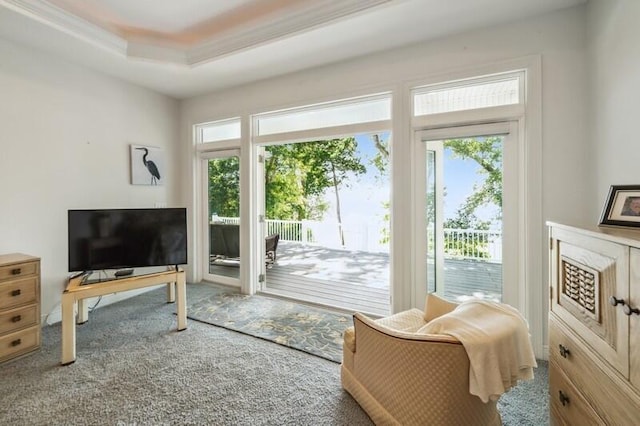 doorway to outside featuring ornamental molding, carpet floors, a tray ceiling, and plenty of natural light