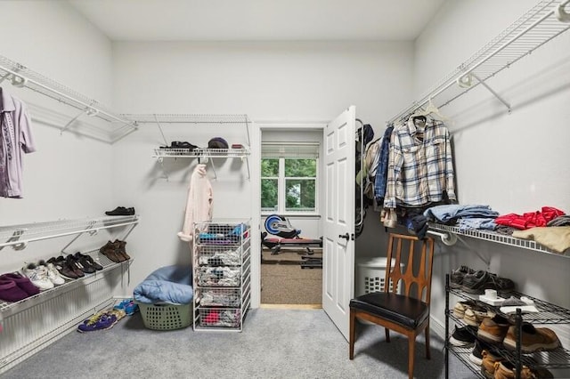 spacious closet featuring carpet flooring