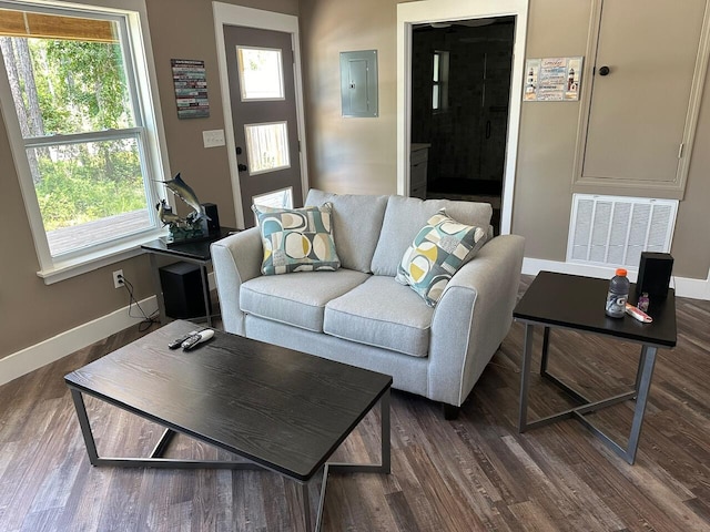 living room featuring electric panel, plenty of natural light, and dark hardwood / wood-style floors