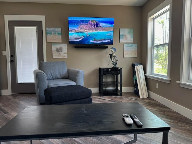 living room with dark hardwood / wood-style floors