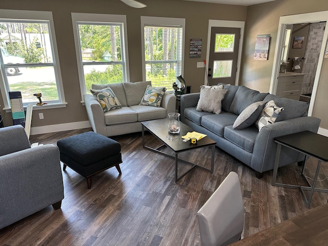 living room with a wealth of natural light and dark hardwood / wood-style floors