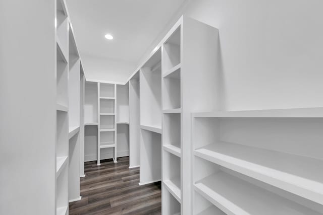 spacious closet featuring dark hardwood / wood-style floors