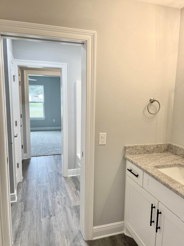 bathroom featuring vanity and wood-type flooring