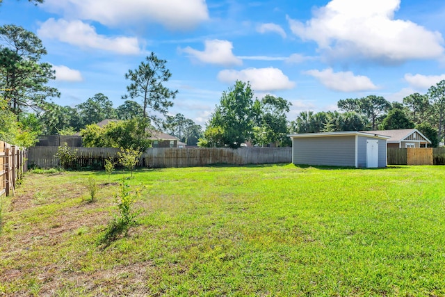 view of yard with a storage shed