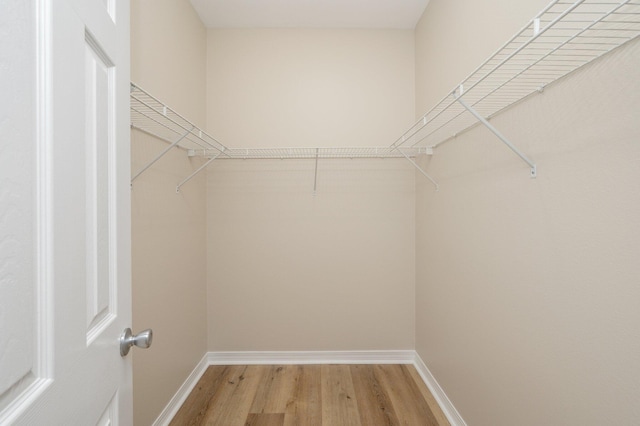 spacious closet featuring hardwood / wood-style floors