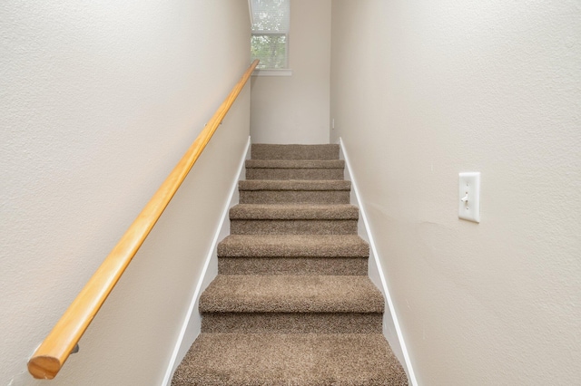 stairway featuring carpet flooring