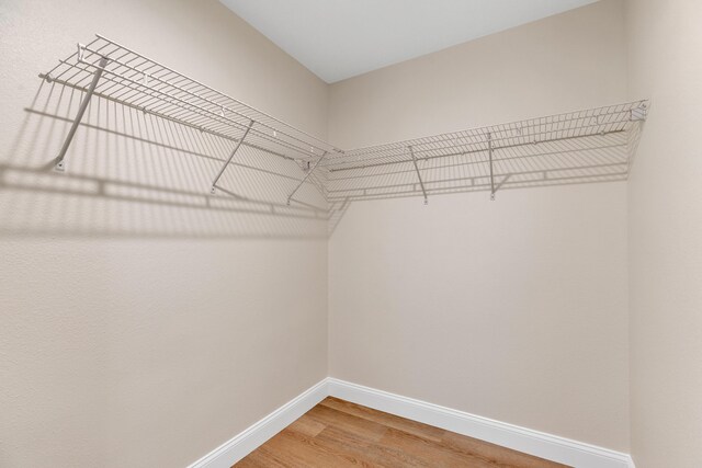 walk in closet featuring hardwood / wood-style floors