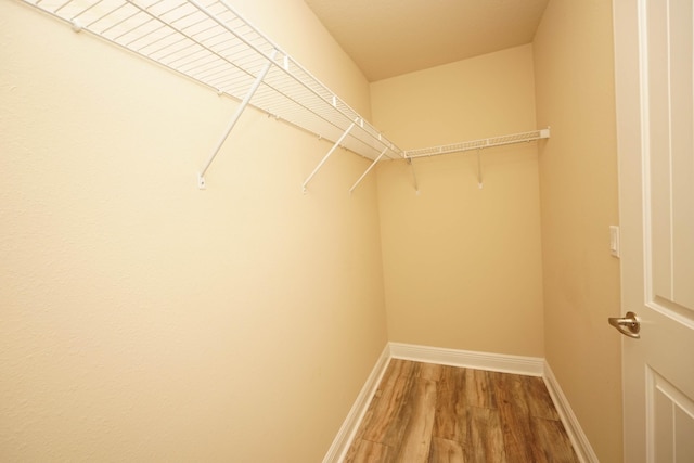 spacious closet with wood-type flooring