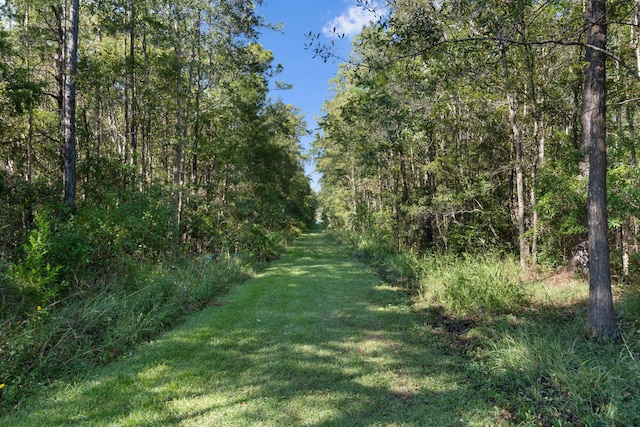 view of local wilderness