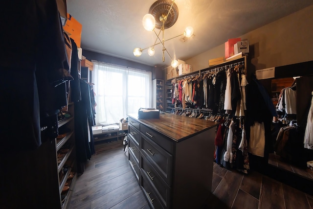 spacious closet with dark wood-type flooring