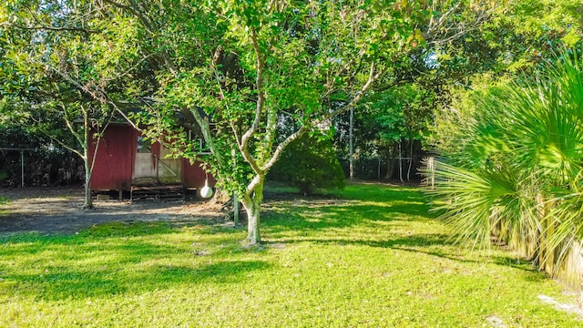 view of yard with a shed