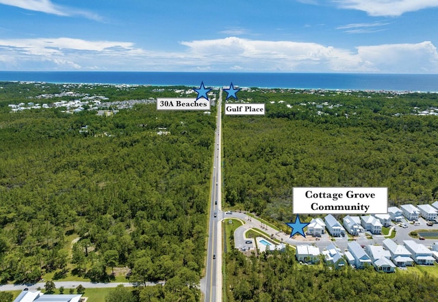 218 White Cottage Rd, Santa Rosa Beach, FL 32459 - birds eye view of property with a wooded view and a water view