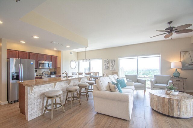 living room featuring a healthy amount of sunlight, light hardwood / wood-style floors, and ceiling fan