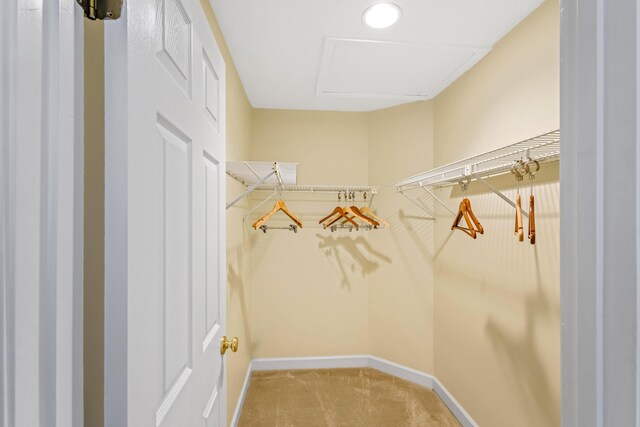 spacious closet with carpet floors