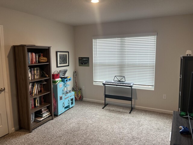 miscellaneous room with carpet floors