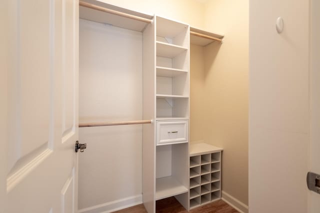 walk in closet featuring dark wood-type flooring