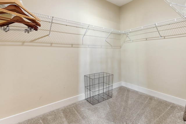 spacious closet with carpet flooring