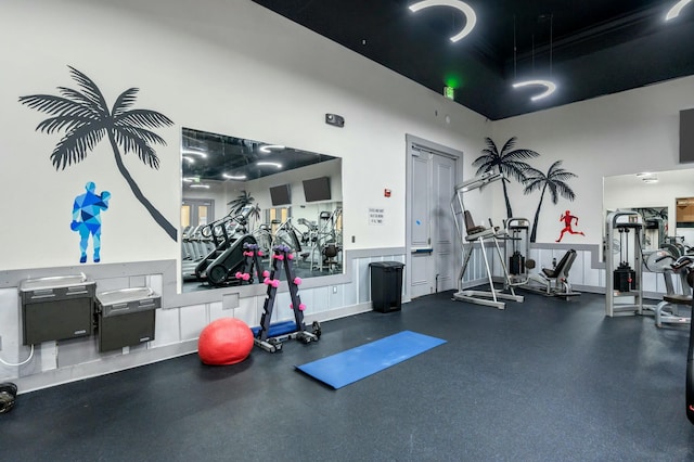 exercise room featuring a towering ceiling