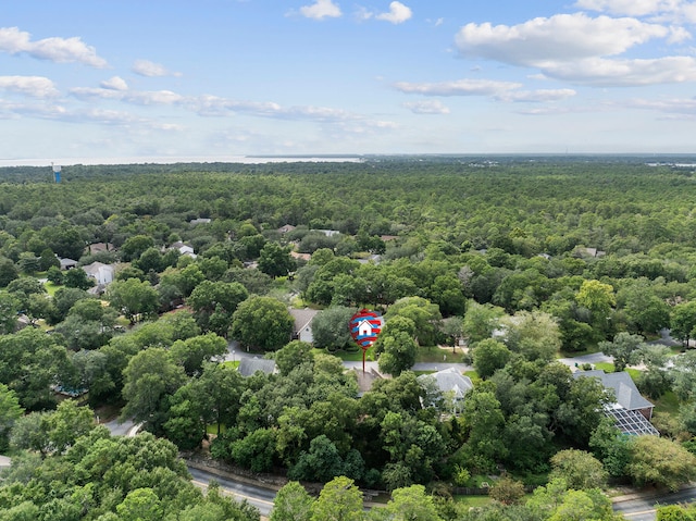 bird's eye view