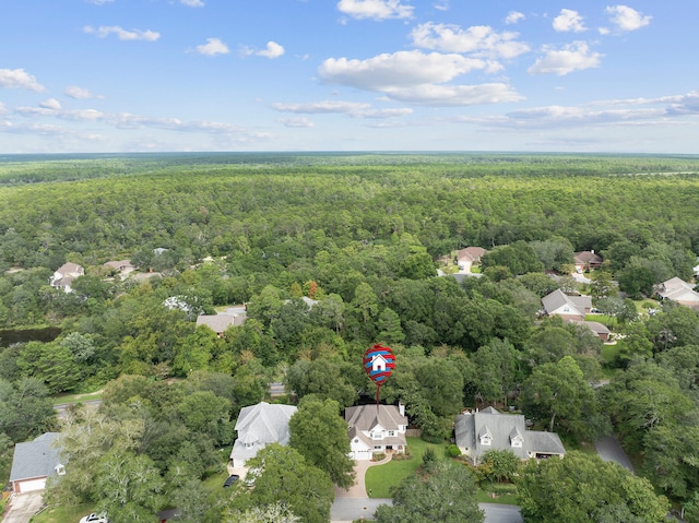 bird's eye view