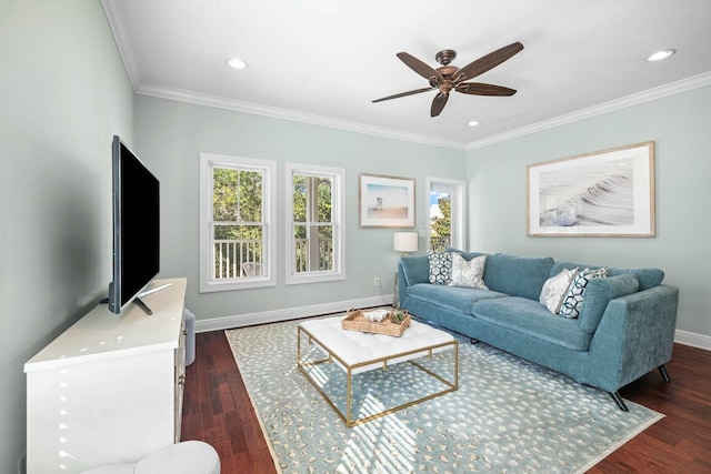 living room featuring dark hardwood / wood-style flooring, ceiling fan, and ornamental molding