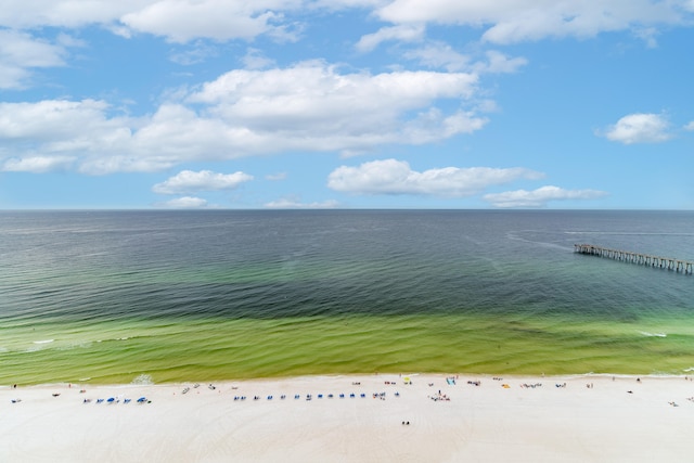 property view of water with a view of the beach