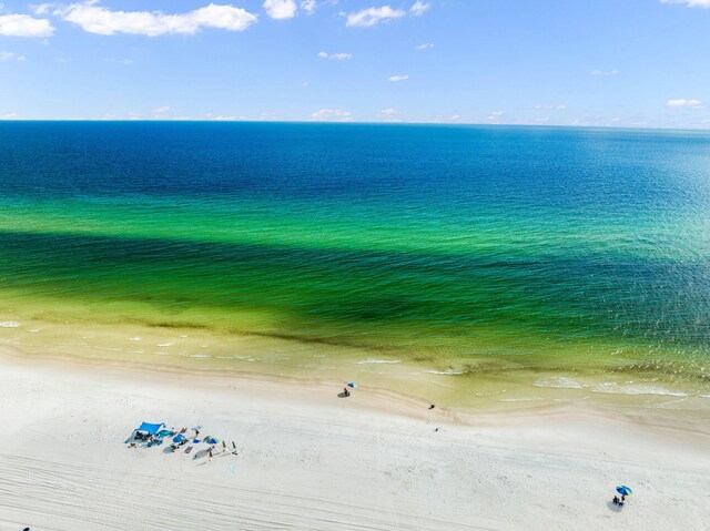 view of water feature featuring a beach view